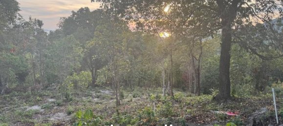  Commercial property in Surat Thani, Thailand No. 20500 9