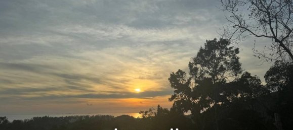  Commercial property in Surat Thani, Thailand No. 20500 2