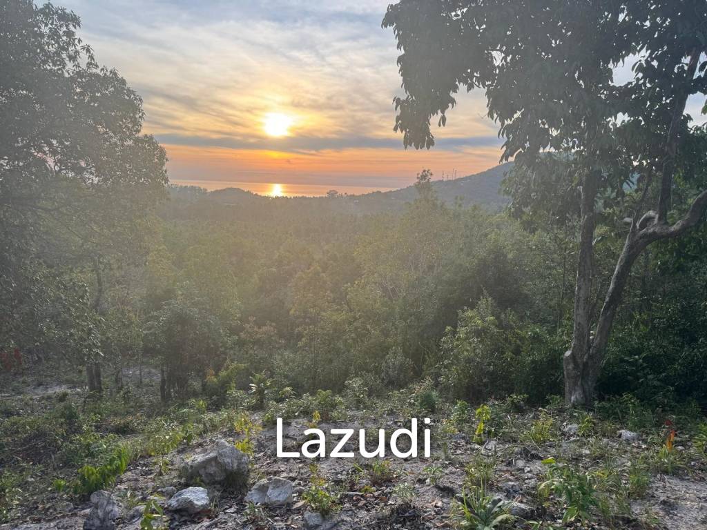  Commercial property in Surat Thani, Thailand No. 20500