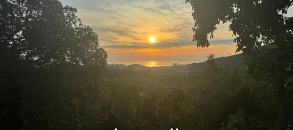  Commercial property in Surat Thani, Thailand No. 20500 4