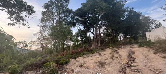  Commercial property in Surat Thani, Thailand No. 20500 10