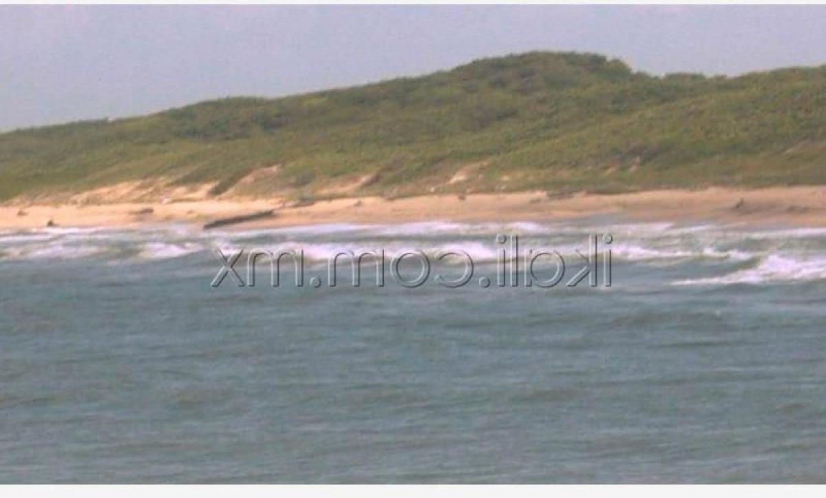 Terrain à Veracruz, Mexico No. 203251