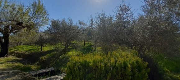 6غرفة منزل في Avigliano Umbro, Italy رقم 49236 20