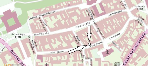 Propriété commerciale à Eisenstadt, Austria 227m² No. 131808 2