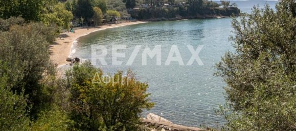 Коммерческая недвижимость с 3 спальнями в Магнисия, Фессалия, Фессалия и Центральная Греция, Греция № 46761 18