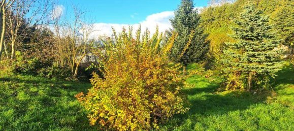  Land in Laakirchen, Austria No. 212494 6