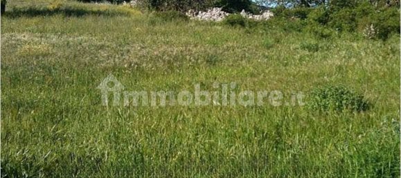 Дом с 5 комнатами в Джоя дель Колле, Италия № 282731 13