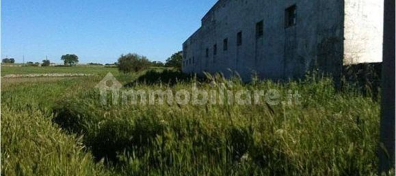 Дом с 5 комнатами в Джоя дель Колле, Италия № 282731 4