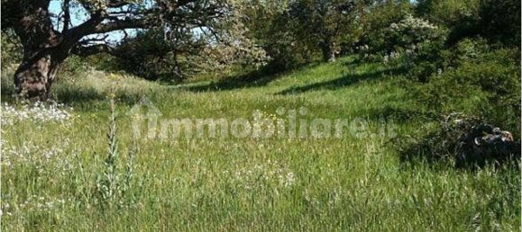 Дом с 5 комнатами в Джоя дель Колле, Италия № 282731 9