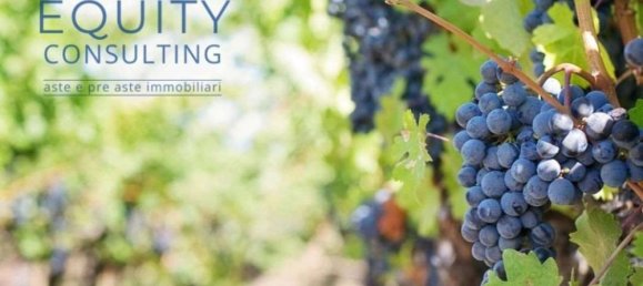 Дом с 5 комнатами в Джоя дель Колле, Италия № 282731 17