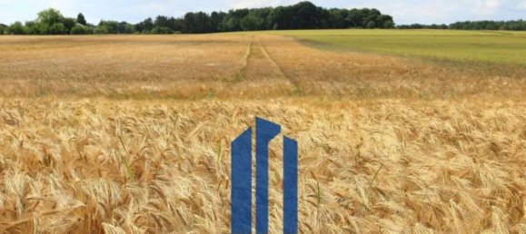 Дом с 5 комнатами в Джоя дель Колле, Италия № 282731 19