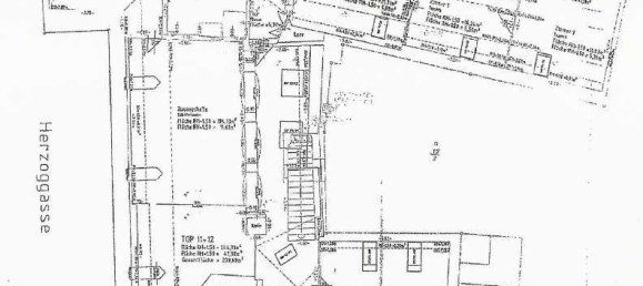 5-salle Appartement à Modling, Austria No. 44535 9