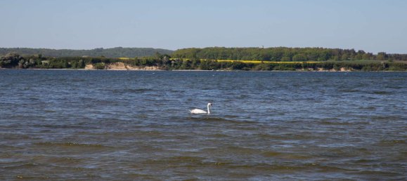 1 غرف نوم منزل في Vorpommern-Rugen, Germany رقم 138687 36