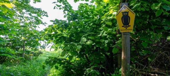 1 غرف نوم منزل في Vorpommern-Rugen, Germany رقم 138687 35