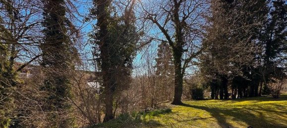 Estúdio em Baden-Wurttemberg, Germany N.º 24323 13