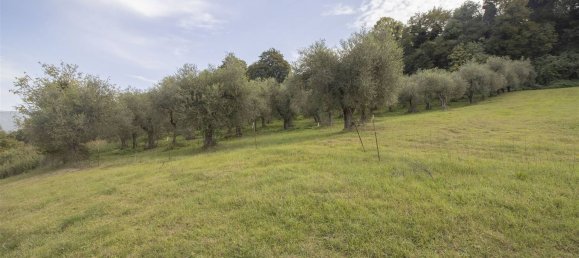 Terrain à Poggio Mirteto, Italy 35500m² No. 204964 13