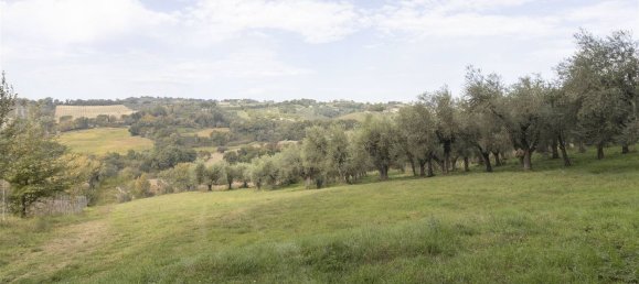 Terrain à Poggio Mirteto, Italy 35500m² No. 204964 7