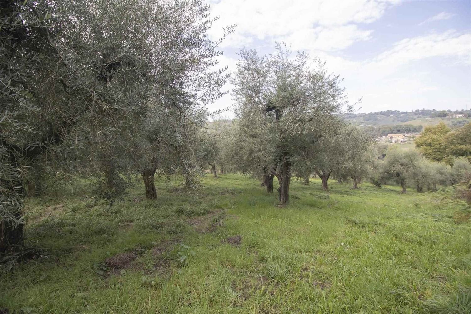 Terrain à Poggio Mirteto, Italy 35500m² No. 204964