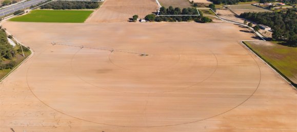 Grundstück in Palmela, Portugal, Nr. 117962 15