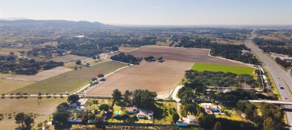 Grundstück in Palmela, Portugal, Nr. 117962 8