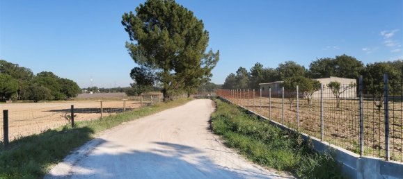 Grundstück in Palmela, Portugal, Nr. 117962 4