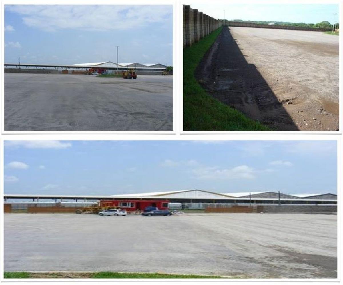  قطعة أرض في Veracruz, Mexico رقم 206153