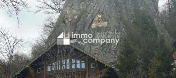 Land in Neuberg an der Murz, Austria No. 134643 4