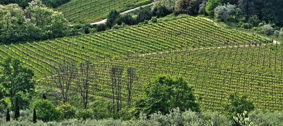 6 rooms House in Altopascio, Italy No. 146795 26