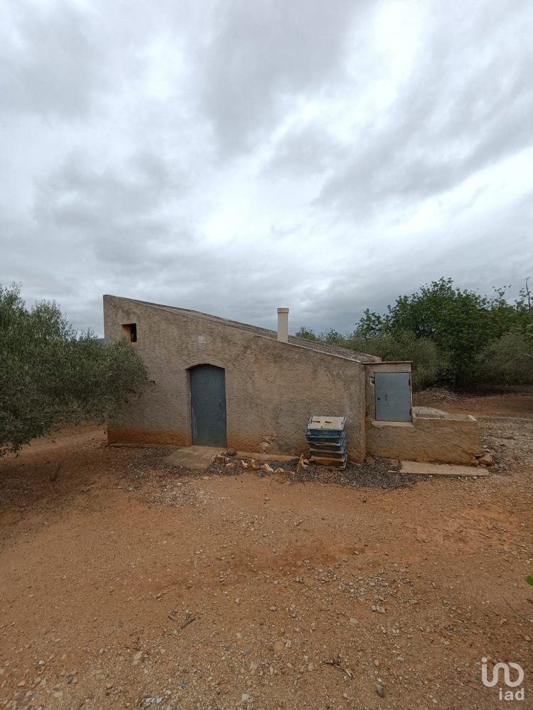 1890m² Land in L'Ampolla, Spain No. 275642