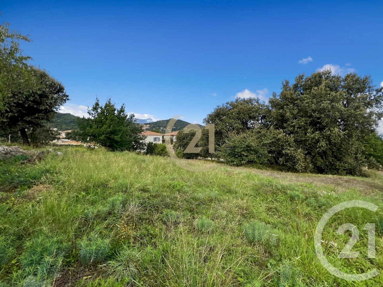 Terrain à Calenzana, France No. 228985