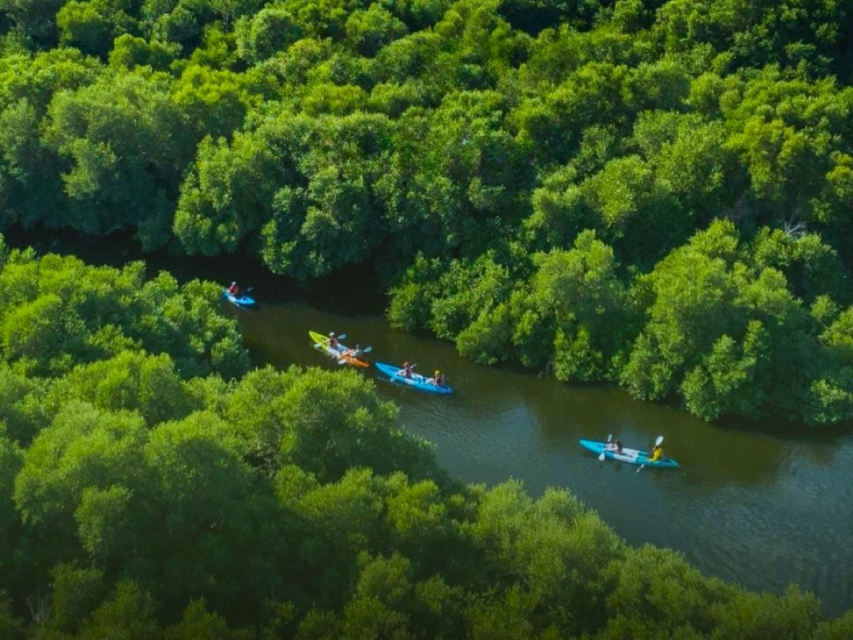 210m² Land in Al Zorah, UAE No. 102648