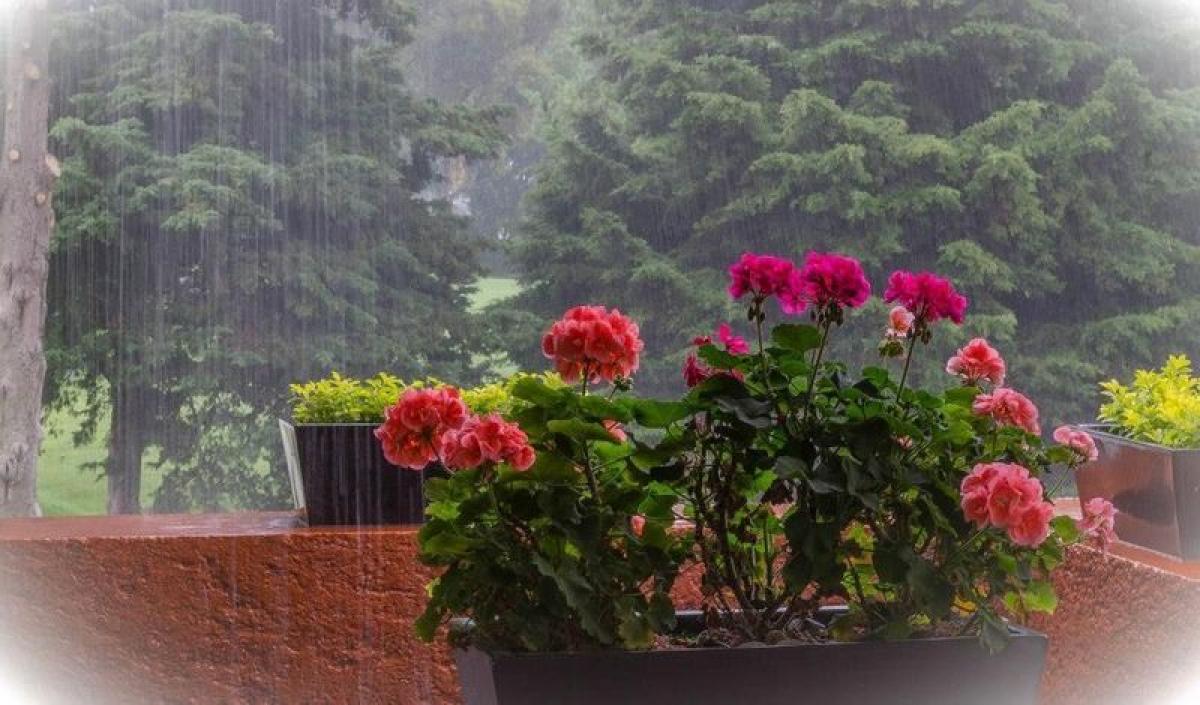  Land in Ciudad Lopez Mateos, Mexico No. 204364