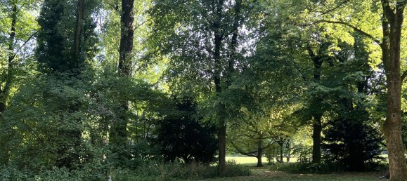 1 Schlafzimmer Wohnung in München, Germany, Nr. 154182 15