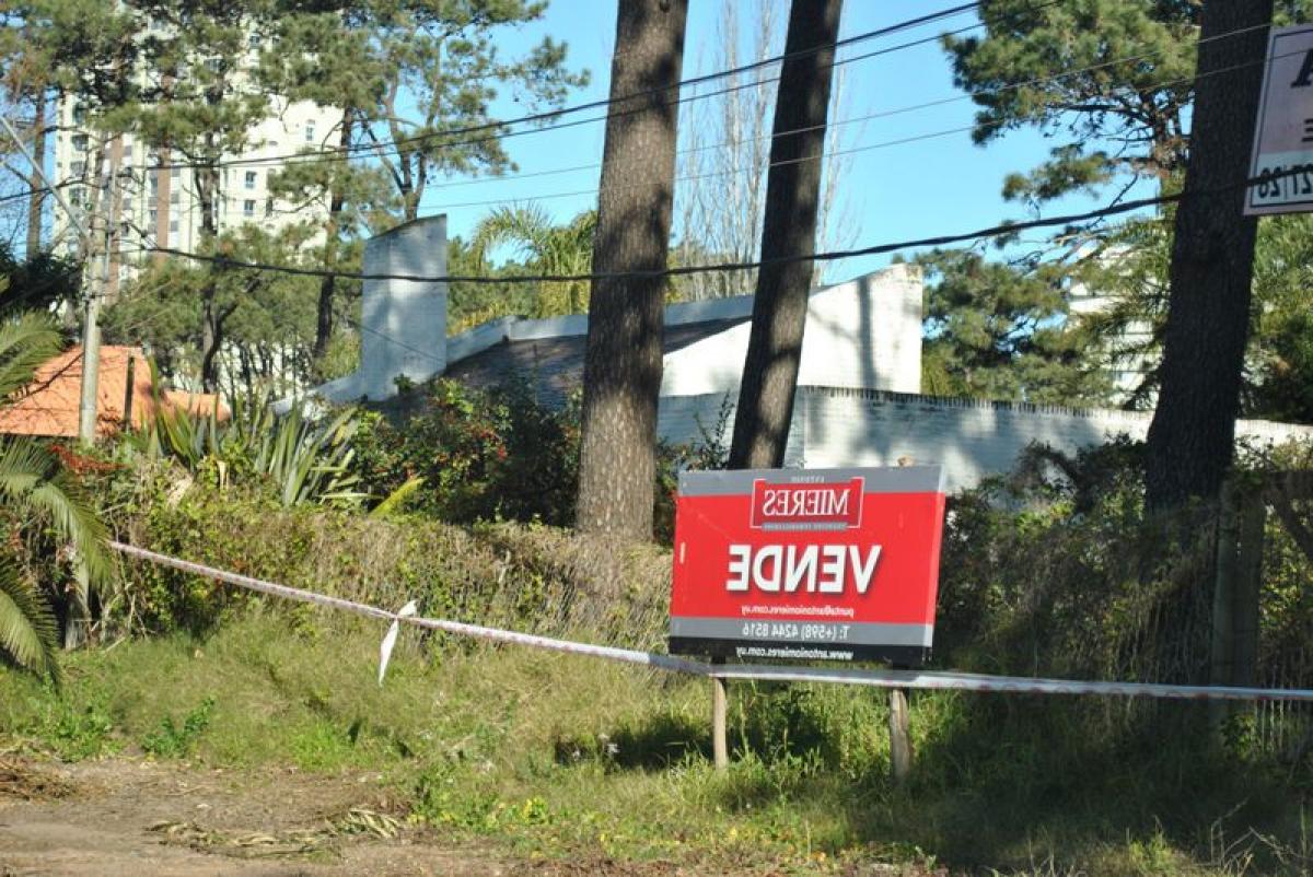  Land in Maldonado, Uruguay No. 14103