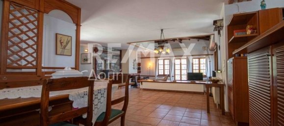 4 bedrooms Commercial property in Magnesia, Greece No. 781 20