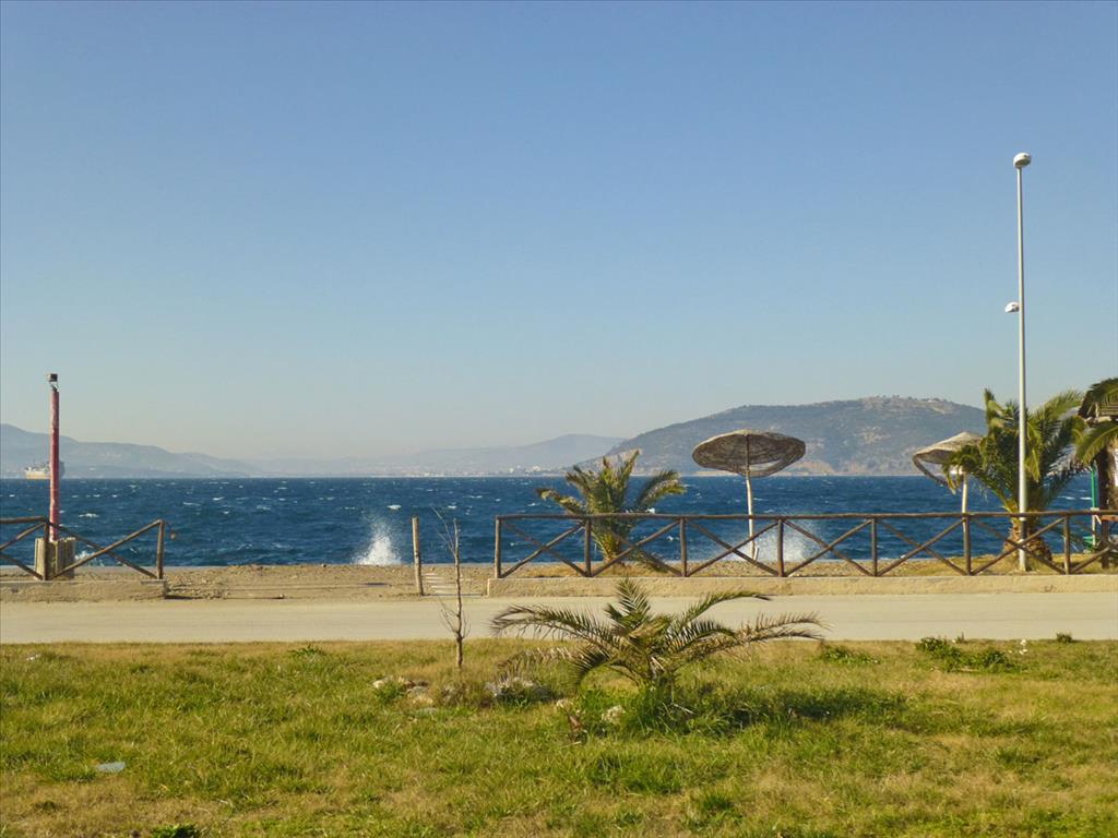 1300m² Hotel in Magnesia, Greece No. 7434