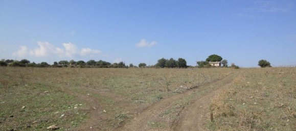 Terreno en Lentini, Italy 30319 m² No. 71711 16