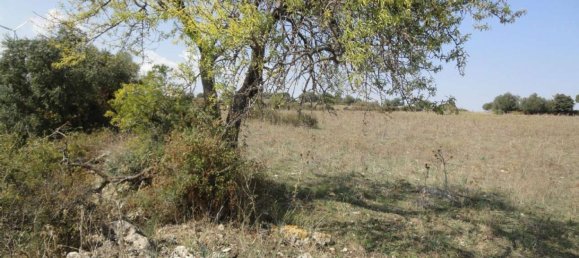 Terreno en Lentini, Italy 30319 m² No. 71711 20