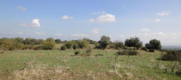 Terreno en Lentini, Italy 30319 m² No. 71711 11