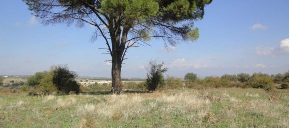 Terreno en Lentini, Italy 30319 m² No. 71711 6