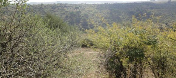 Terreno en Lentini, Italy 30319 m² No. 71711 19