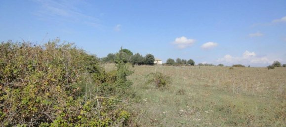 Terreno en Lentini, Italy 30319 m² No. 71711 21
