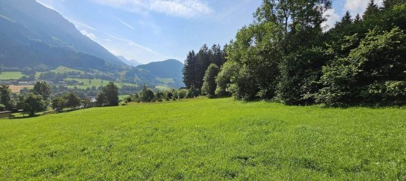  Land in Reisseck, Austria No. 245199 7