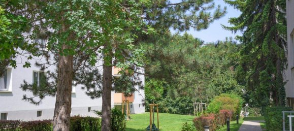 3 rooms Apartment in Simmering, Austria No. 250352 8