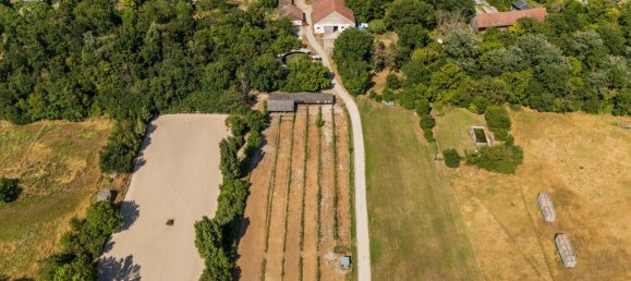  Land in Andlersdorf, Austria No. 196559 2