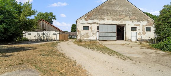  Land in Andlersdorf, Austria No. 196559 43