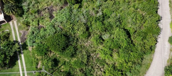 1295m² Land in Saint Paul, Antigua and Barbuda No. 58 10