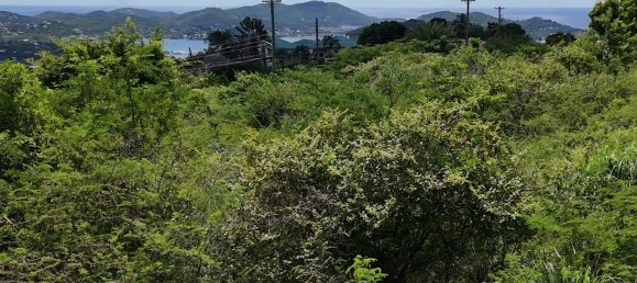 1295m² Land in Saint Paul, Antigua and Barbuda No. 58 11