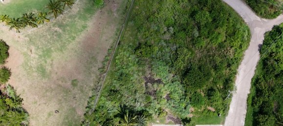 1295m² Land in Saint Paul, Antigua and Barbuda No. 58 9