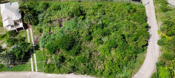1295m² Land in Saint Paul, Antigua and Barbuda No. 58 13